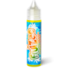 FRUIZEE - CITRON ORANGE MANDARINE - 50ml