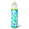 FRUIZEE - ICEE MINT - 50ml